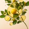 Élégance Florale • 3x EDP