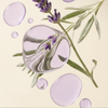 Élégance Florale • 3x EDP